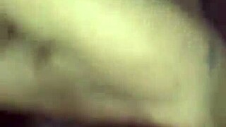 Young guy sucked by mature woman