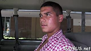 Is Homosexual Sex Really That Sexy?