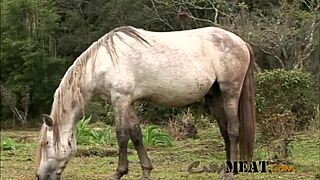 Gay country boys have hot outdoor sex