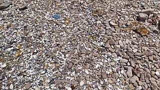 Hey, I just met this guy at the beach and we're about to have some fun fucking