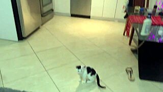 spanish teen gave blowjob while girlfriend slept