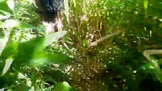 Ela Me Fez De Corno E Deu Pros Caras Na Praia - Joy Cardozo - Bruna Black