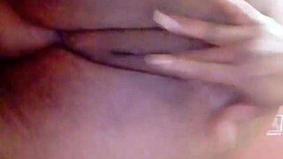 sundaydogood614 update 44 c360vid 20240128 163133 jan 29 2024!