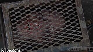 Lusty Facial Castigation For Angel Wica