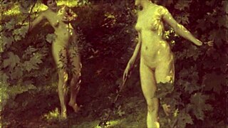 Vintage Erotic Illustration