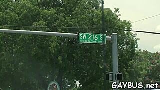 What Secrets Hide in This Homo Bear Encounter?