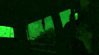 What Secrets Hide in This Homo Bear Encounter?