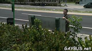 What Secrets Hide in This Homo Bear Encounter?