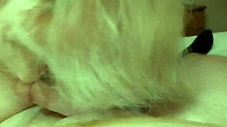 Want to see an american blowjob?