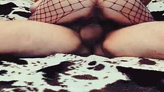 Wife in Lingerie Gets Anal Casting Interview