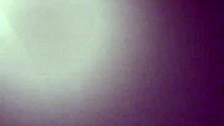 Daniel and Mandy Engage in Amateur Activities Together