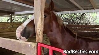 Beautiful Girls Give Head And Get Stuffed