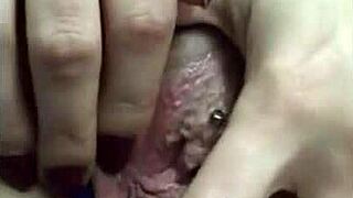 Sharmota's adventures in the city