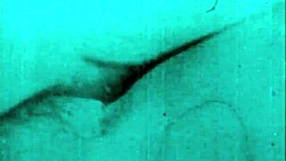 Porn from the good old days with hairy and beaver dams