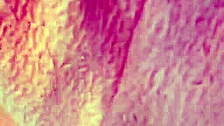 A beautiful brunette pornstar explores alternative masturbation techniques in her solo session