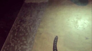 Somali Lesbian Love in Kenya