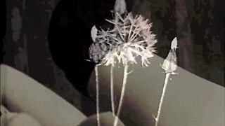 Exploring Two Centuries of Vintage British Babes with Hairy Pussies