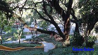 blonde babe gives it up to park creep