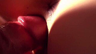 Close-up doggystyle pussy fucking with creampie