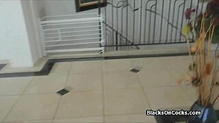 Ebony Gf Blowjob In Lingerie Anniversary!