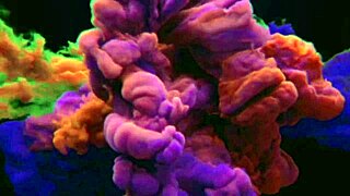 Apostei Com O Vizinho Que Meu Cu Goza Ele Perdeu A Aposta Cumshot Veja Mais Em Xv Red