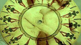 Reliving vintage cartoon nostalgia