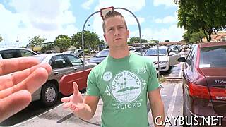 free gay photo collection