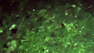 Dirty Blonde Camping Sex With Big Cock Action