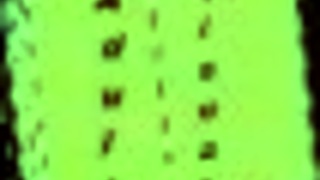 my new family plays outdoor games