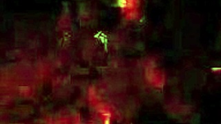 Vintage Lesbian Couples Through Two Centuries