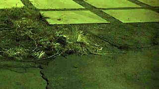 extreme bdsm compilation with teen domination and hardcore action