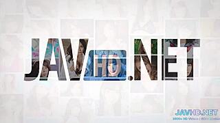 japanese stocking hd compilation vol 24 is pure leg perfection