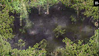 Check out the complete gameplay of Lust Epidemic Part 15.