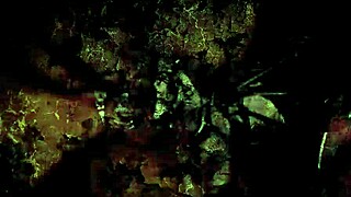 vintage erotic drawings from anime and cartoon styles