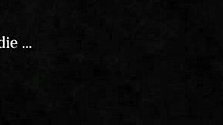 What unfolds in the ranch area at night?