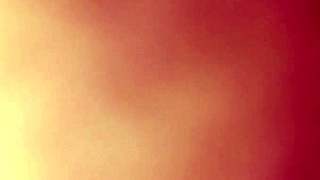 Anal sex in the doggy style position