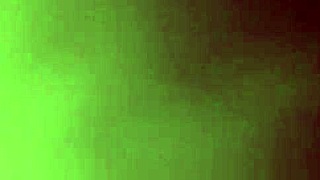 Anal sex in the doggy style position