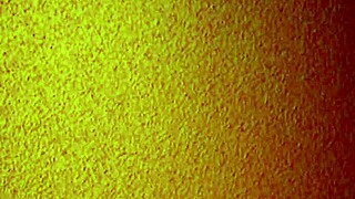 i hired a cheap mature asian hooker for creampie