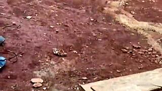 Latina Schoolgirl Anal On Street