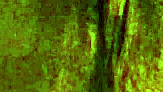 Curvy Latina Opens Wet Virgin Pussy for Licking!