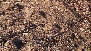 Can't Get Enough Of This Sexy Red Slut's Blowjob.