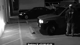 slut sneaks blowjob to security guard avoiding fine