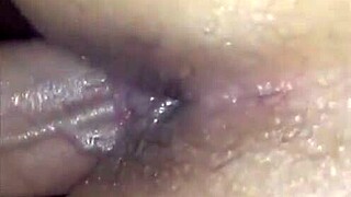 I play with my neighbor using toys part 2.