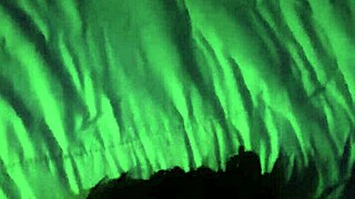 Chilean amateur sucks eagerly