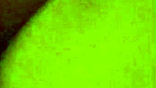 White Cock Takes On Big Ebony Ass In Deepthroat Action