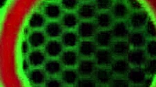 Gia Love and Sara Jay Dominate Lesbian Sex in Detention