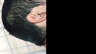 Big Ass Latina Takes Huge Black Cock