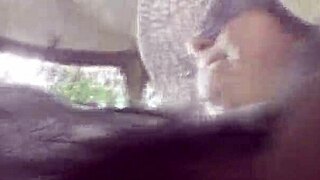 Hairy mature upskirt on the carriage part 2