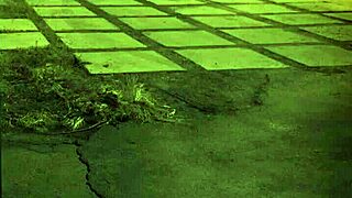 Milf Dominates Teen Outdoors In Extreme Fucking And Bdsm Session