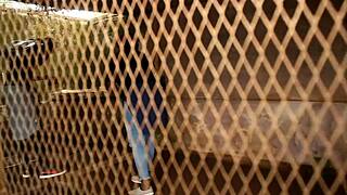 Intense Public Blowjob and Anal with Huge Cock in Tourist Park